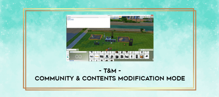 T&M - Community & Contents Modification Mode digital courses