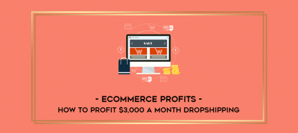 eCommerce Profits- How To Profit $3