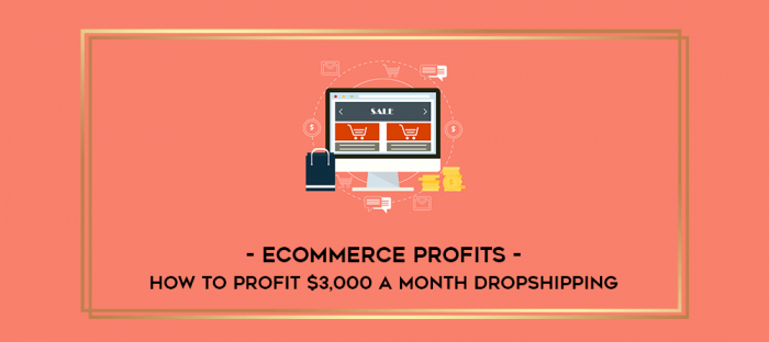eCommerce Profits- How To Profit $3