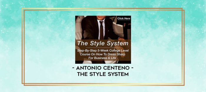 Antonio Centeno - The Style System digital courses
