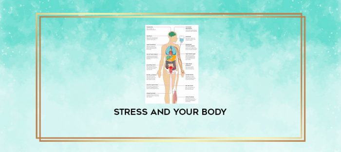 Stress and Your Body digital courses