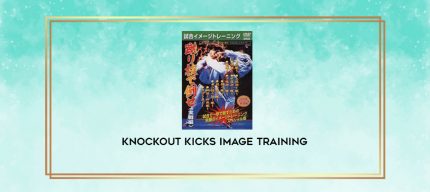 KNOCKOUT KICKS IMAGE TRAINING digital courses