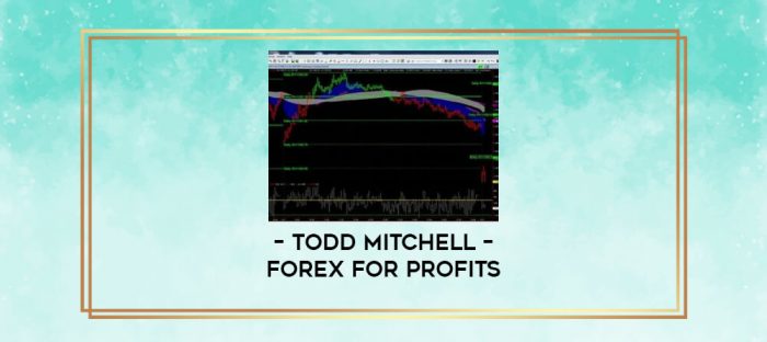 Todd Mitchell - Forex for Profits digital courses