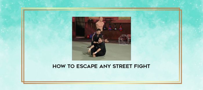 How To Escape Any Street Fight digital courses