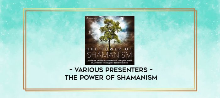 VARIOUS PRESENTERS - The Power of Shamanism digital courses