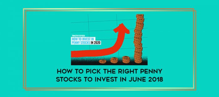 How to Pick The Right Penny Stocks To Invest In June 2018 Online courses