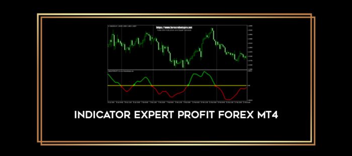 Indicator Expert Profit Forex MT4 Online courses