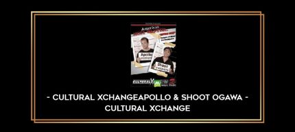 Apollo & Shoot Ogawa - Cultural Xchange Online courses