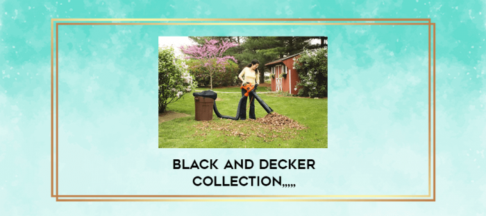 Black and Decker Collection from https://imylab.info