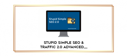 Stupid Simple SEO & Traffic 2.0 Advanced from https://imylab.info