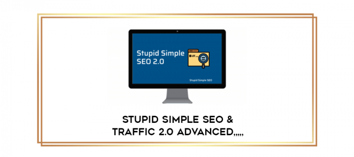 Stupid Simple SEO & Traffic 2.0 Advanced from https://imylab.info