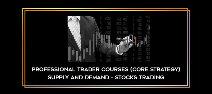 Professional Trader Courses (Core Strategy) Supply and Demand - Stocks Trading Online courses