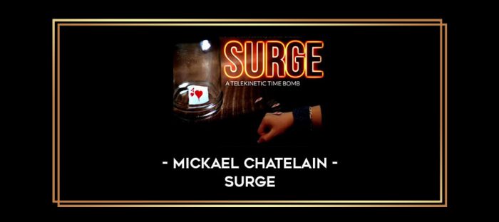 Mickael Chatelain - Surge Online courses