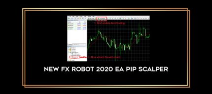 New Fx Robot 2020 EA Pip Scalper Online courses