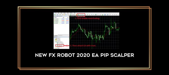 New Fx Robot 2020 EA Pip Scalper Online courses