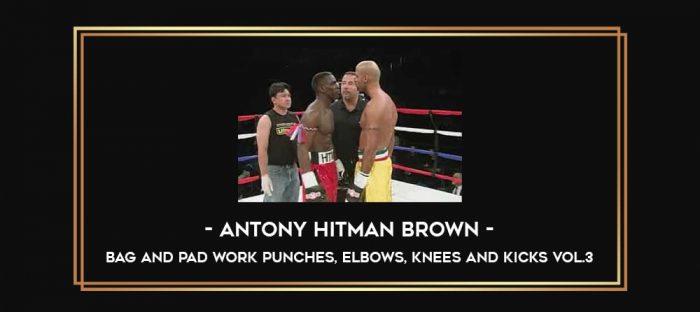 Antony Hitman Brown - Bag and Pad Work Punches