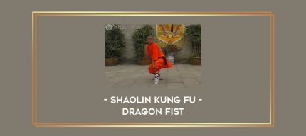 Shaolin Kung Fu - Dragon Fist Online courses