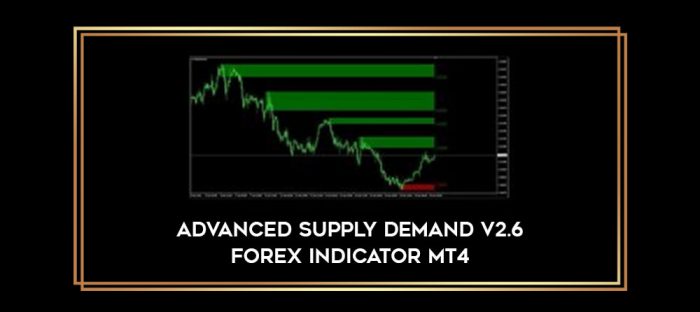 Advanced Supply Demand V2.6 Forex Indicator MT4 Online courses