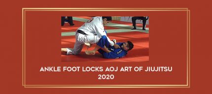 Ankle foot locks AOJ Art of Jiujitsu 2020 Online courses