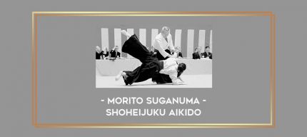 Morito Suganuma - Shoheijuku Aikido Online courses