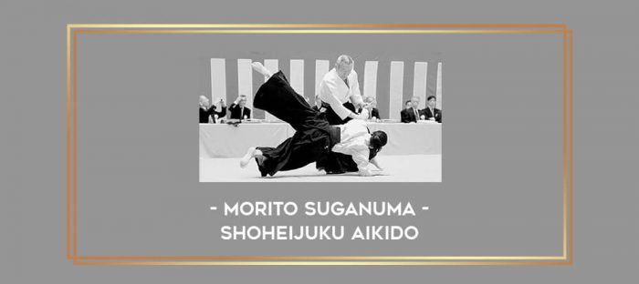 Morito Suganuma - Shoheijuku Aikido Online courses