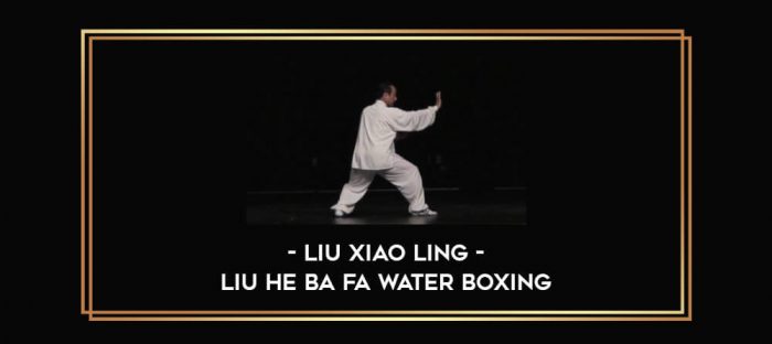 Liu Xiao Ling - Liu He Ba Fa Water Boxing Online courses