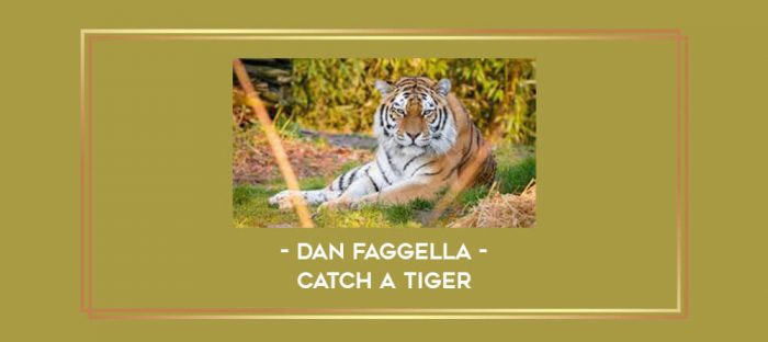 Dan Faggella - Catch a Tiger Online courses