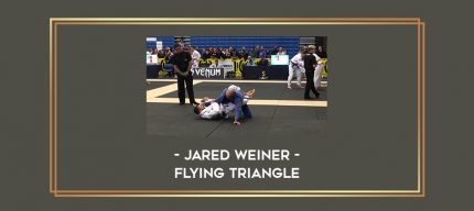Jared Weiner - Flying Triangle Online courses