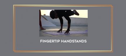 Fingertip Handstands Online courses