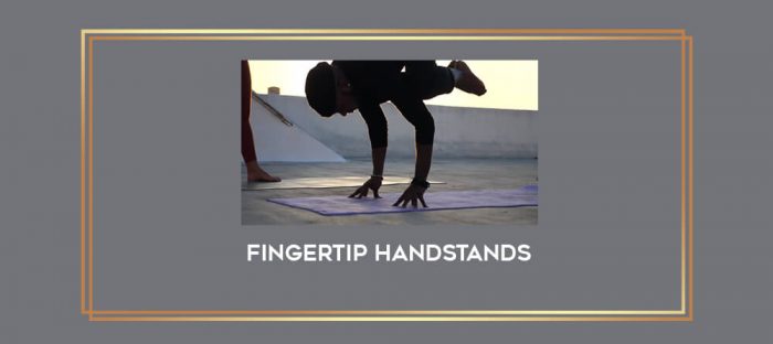 Fingertip Handstands Online courses