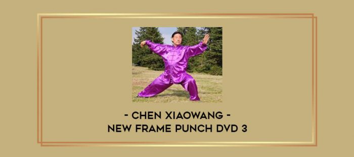 Chen Xiaowang - New Frame Punch DVD 3 Online courses