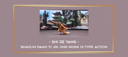 Shi De Yang - Shaolin Damo Yi Jin Jing Gong 12-type action Online courses