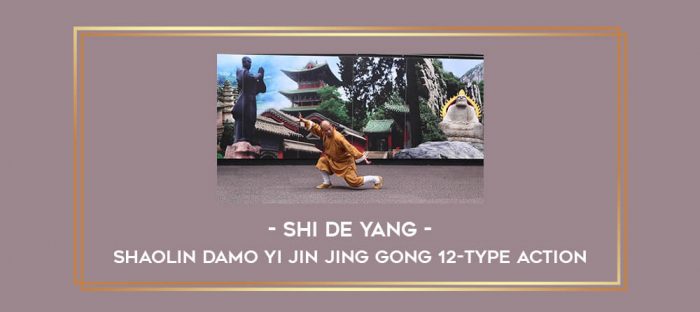Shi De Yang - Shaolin Damo Yi Jin Jing Gong 12-type action Online courses