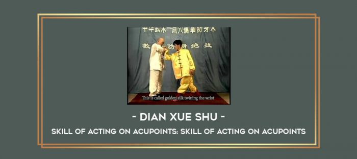 DIAN XUE SHU - Skill Of Acting On Acupoints: Skill of Acting on Acupoints Online courses
