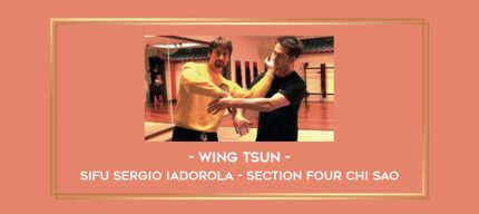 Wing Tsun - Sifu Sergio Iadorola - Section Four Chi Sao Online courses