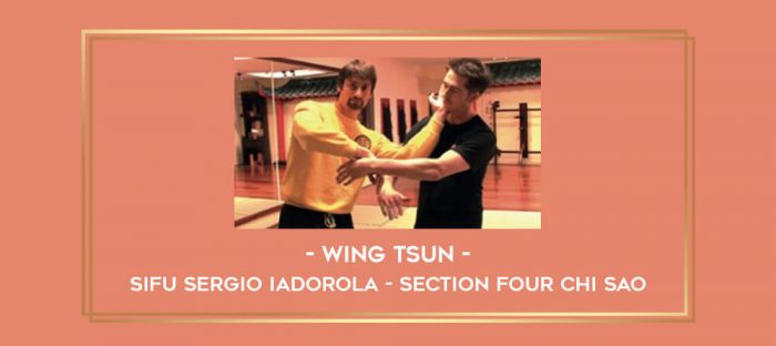 Wing Tsun - Sifu Sergio Iadorola - Section Four Chi Sao Online courses