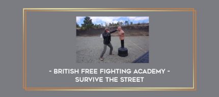 British Free Fighting Academy - Survive The Street Online courses