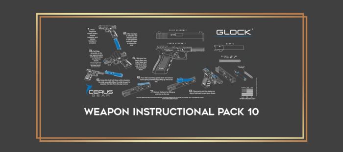 Weapon Instructional Pack  10 Online courses