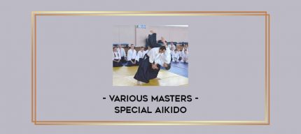 Various Masters - Special Aikido Online courses