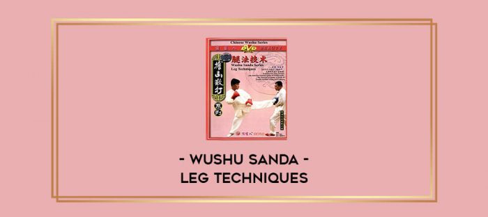 Wushu Sanda - Leg Techniques Online courses