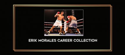 Erik Morales Career Collection Online courses