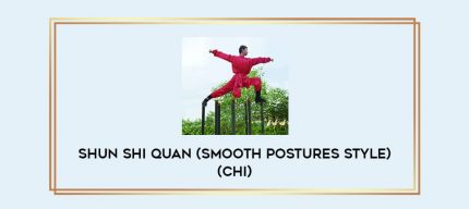 Shun Shi Quan (Smooth Postures Style) (chi) Online courses