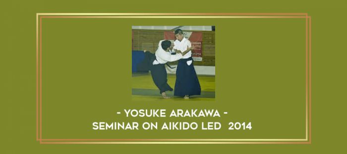 Yosuke Arakawa - Seminar on Aikido led  2014 Online courses