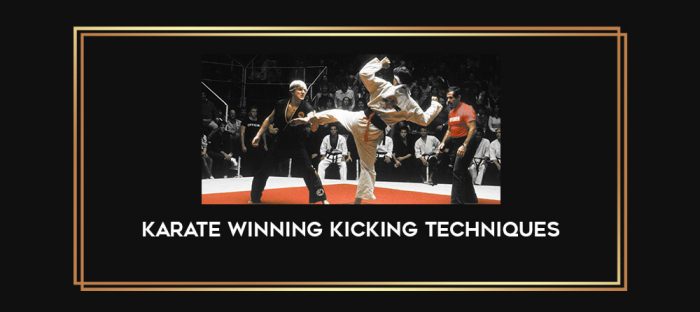 Karate Winning Kicking Techniques Online courses