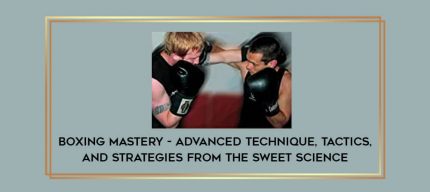 Boxing Mastery - Advanced Technique