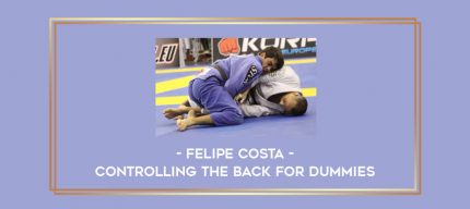 Felipe Costa - Controlling The Back For Dummies Online courses