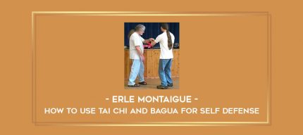 Erle Montaigue - How To Use Tai Chi And Bagua For Self Defense Online courses