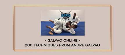 Galvao Online - 200 techniques from Andre Galvao Online courses