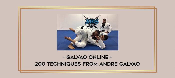 Galvao Online - 200 techniques from Andre Galvao Online courses