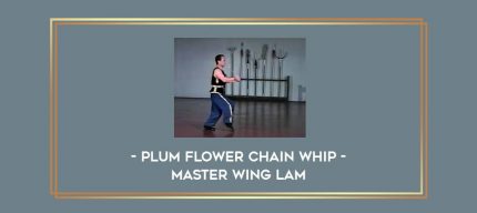 Plum Flower Chain Whip - Master Wing Lam Online courses